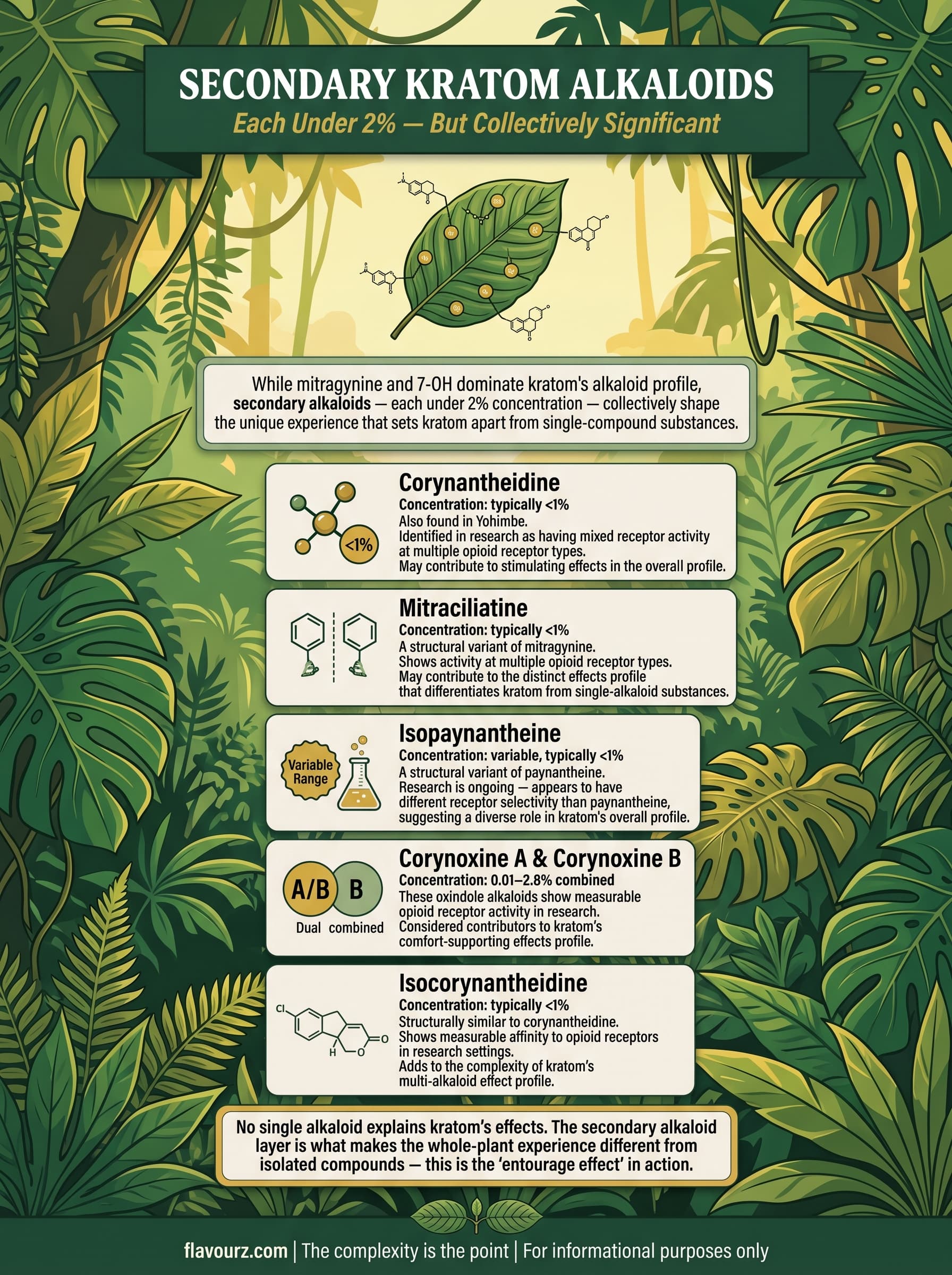 infographic forSecondary Alkaloids (1-2% Each)
